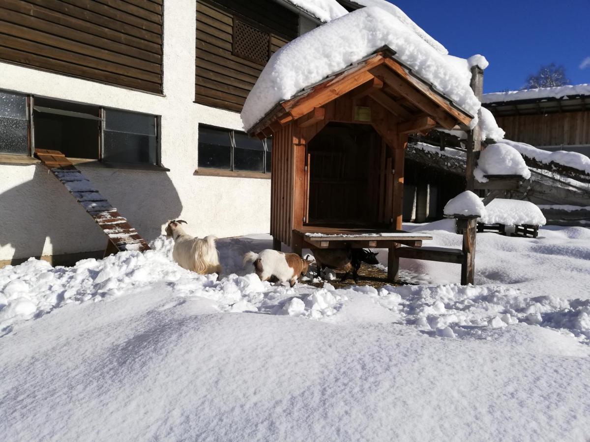 Zweimaederlhaus Apartment Bad Mitterndorf Bagian luar foto